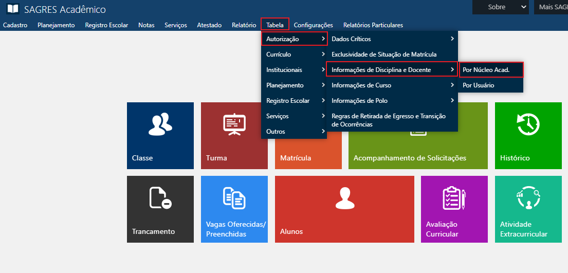AW-tabela-autorizacao-informacoes-de-disciplina-e-docente-por-nucleo-academico