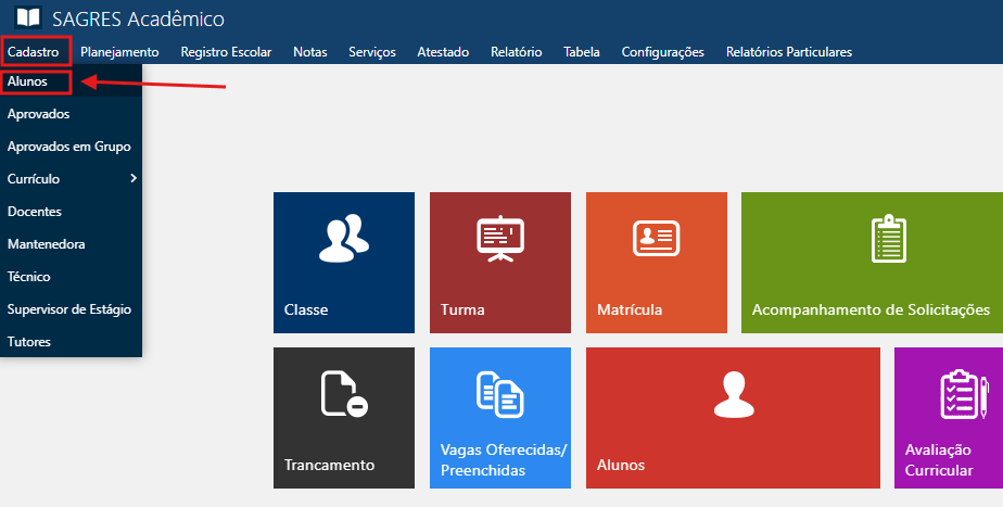 Aluno-especial-Cadastro-do-Aluno-Menu-de-Acesso