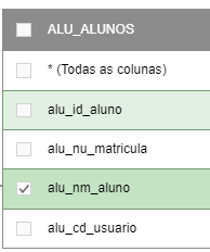 Consultas-Gerador-Consultas-Seleção-Campo (1)