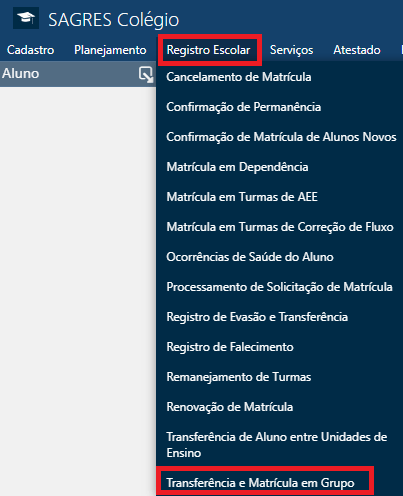 Registro-Escolar-Transferencia-Matricula-em-Grupo-Menu