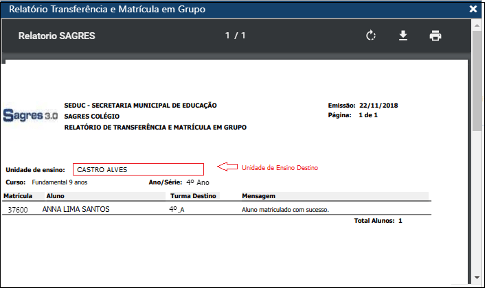 Registro-Escolar-Transferencia-Matrícula-em-Grupo-Exemplo-Relatório