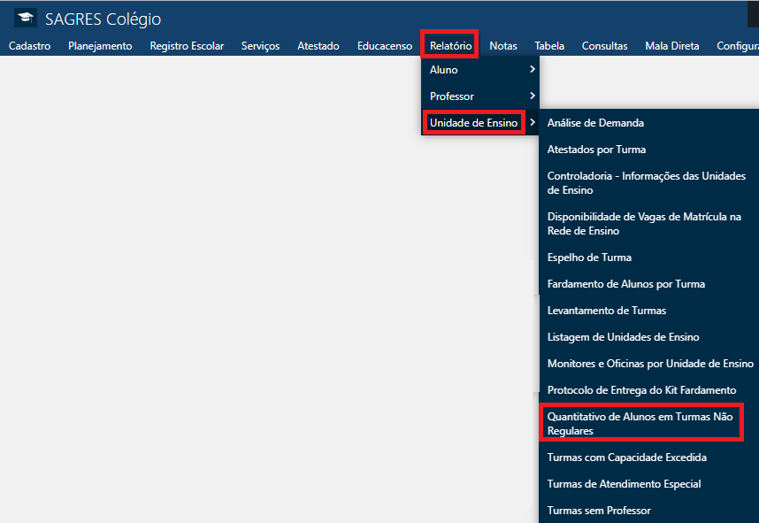 Relatório-Und-Ensino-Quant-Alunos-Turmas-nao-Regulares-Menu