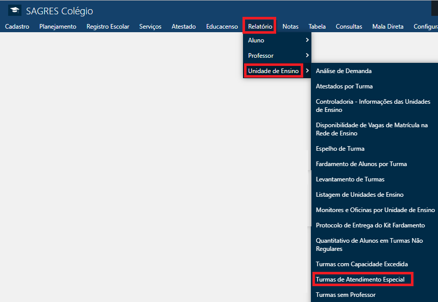 Relatório-Und-Ensino-Turmas-Atendimento_Especial-Menu