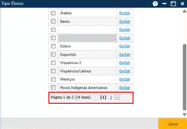 Tipo-Etnico-Barra-de-funcionalidades-inferior