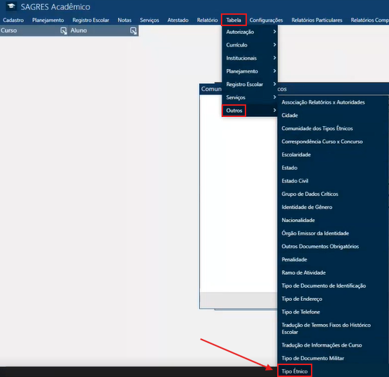 Tipo-Etnico-Menu-de-Acesso