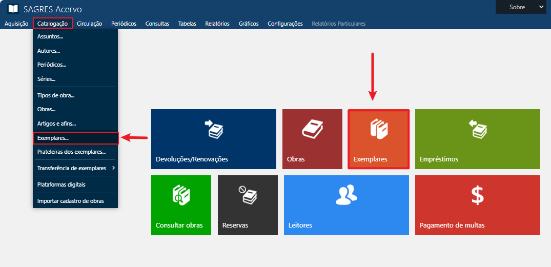 caminho-interface-catalogacao-exemplares