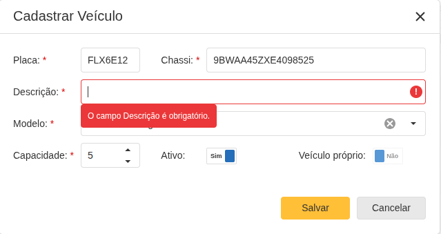 interface-cadastro-veiculo-edicao-de-veiculo-campo-n-preenchido