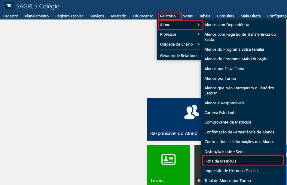 relatorio-ficha-aluno